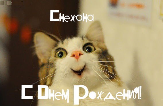 с днём рождения снежана картинки онлайн с днём рождения снежана картинки