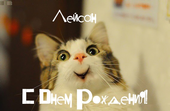 Картинка с днем рождения лейсан Картинка с днем рождения лейсан