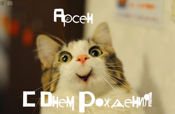 Смешная картинка с Днем Рождения Арсен