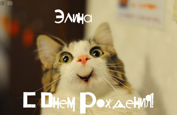 Смешная картинка с Днем Рождения Элина