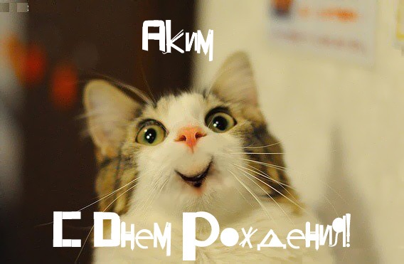 Поздравление акимов с днем рождения Поздравление акимов с днем рождения