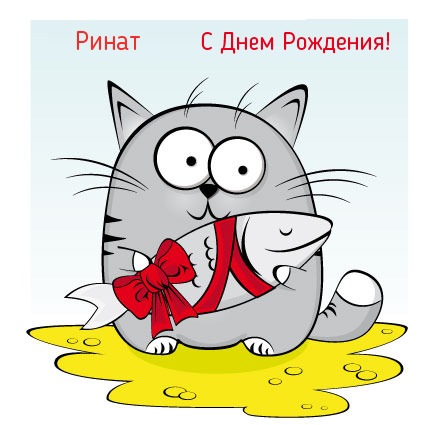 Прикольная картинка с Днем Рождения Ринат!