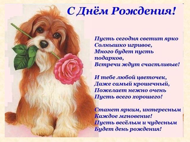 С Днем Рождения! Песик и стихи
