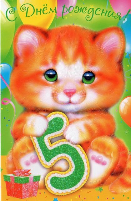 Открыть в полном размере 5 лет от котика