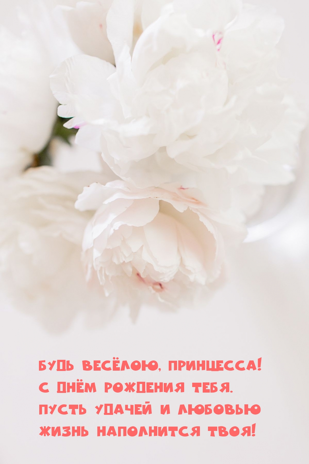Будь весёлою, принцесса! С днём рождения тебя.