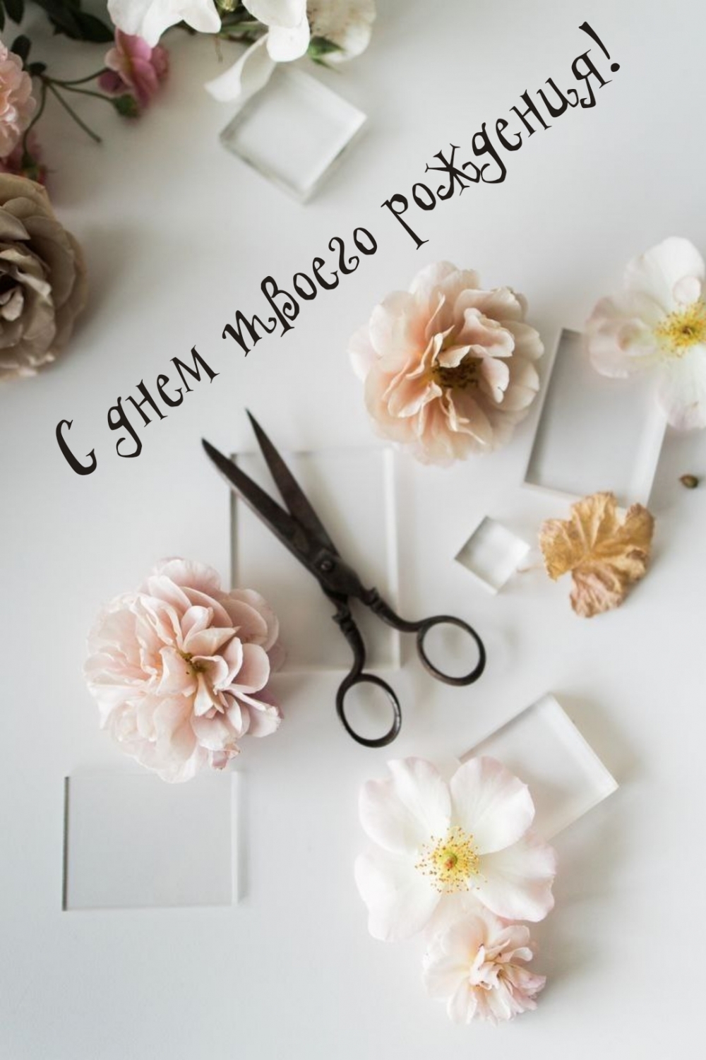 С днем твоего рождения!