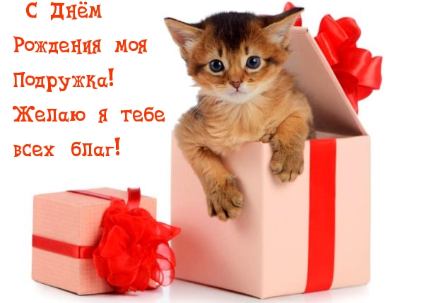 С Днём Рождения моя подружка! Желаю я тебе всех благ!
