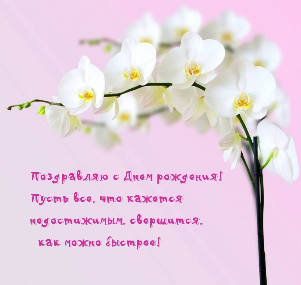 С Днем рождения! Пусть все, что кажется недостижимым, свершится