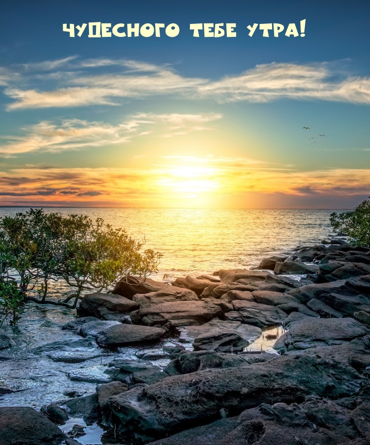 Чудесного тебе утра!