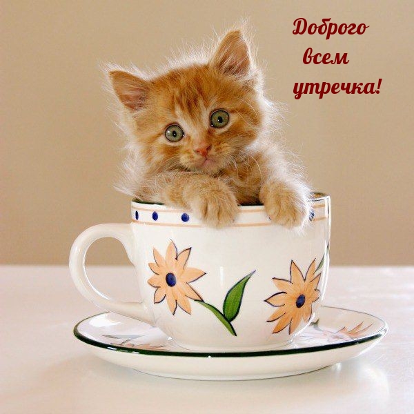 Доброго всем утречка!