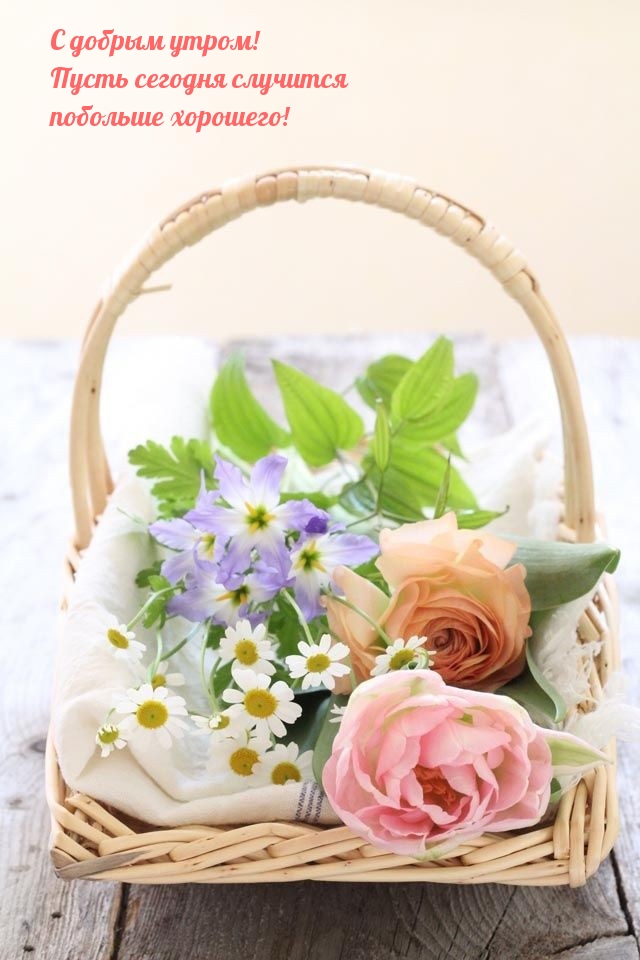 С добрым утром! Пусть сегодня случится побольше хорошего!