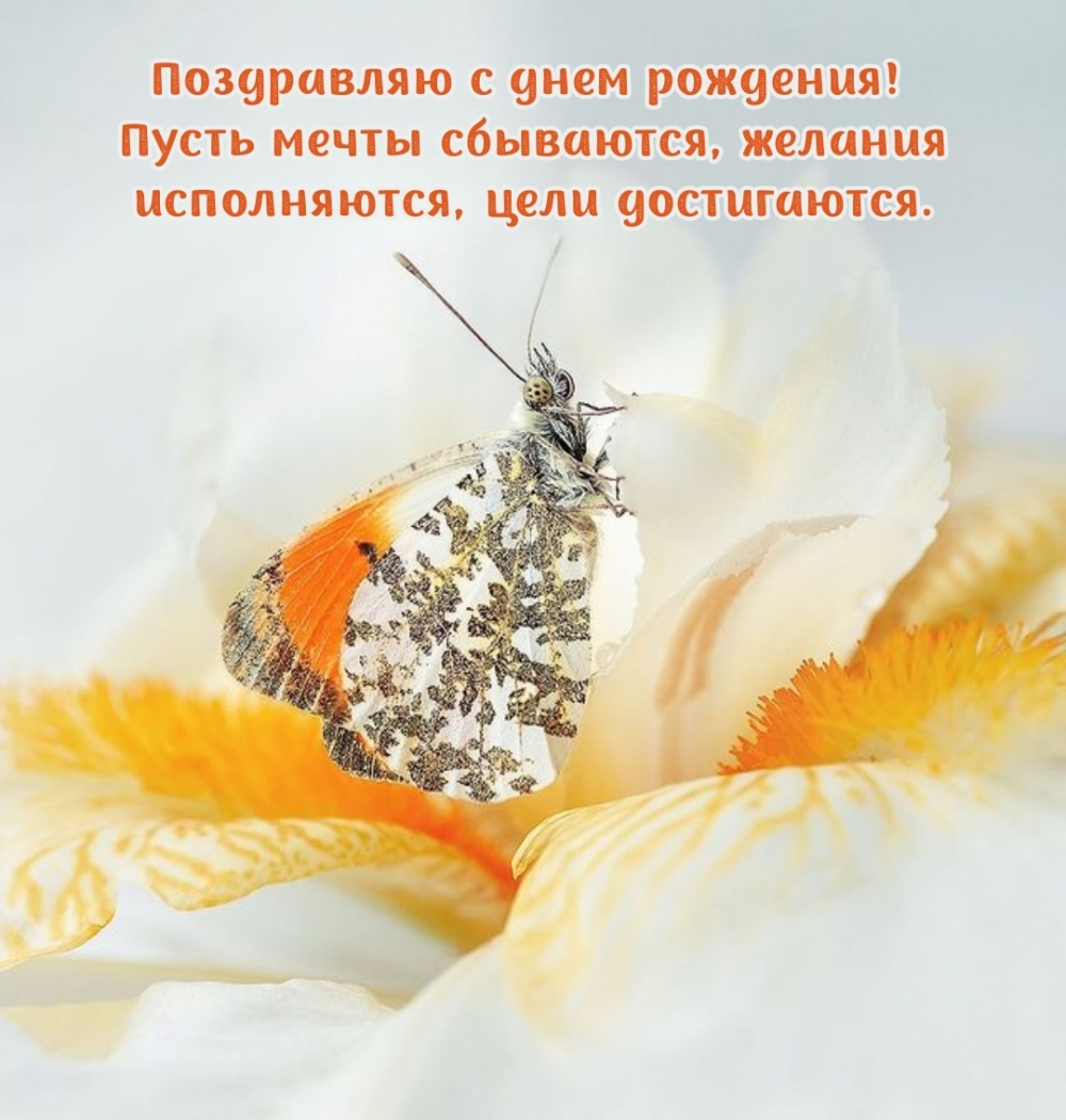 С днем рождения! Пусть мечты сбываются
