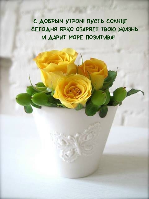 С добрым утром! Пусть солнце сегодня ярко озаряет жизнь