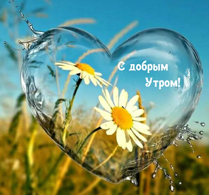 С добрым Утром!