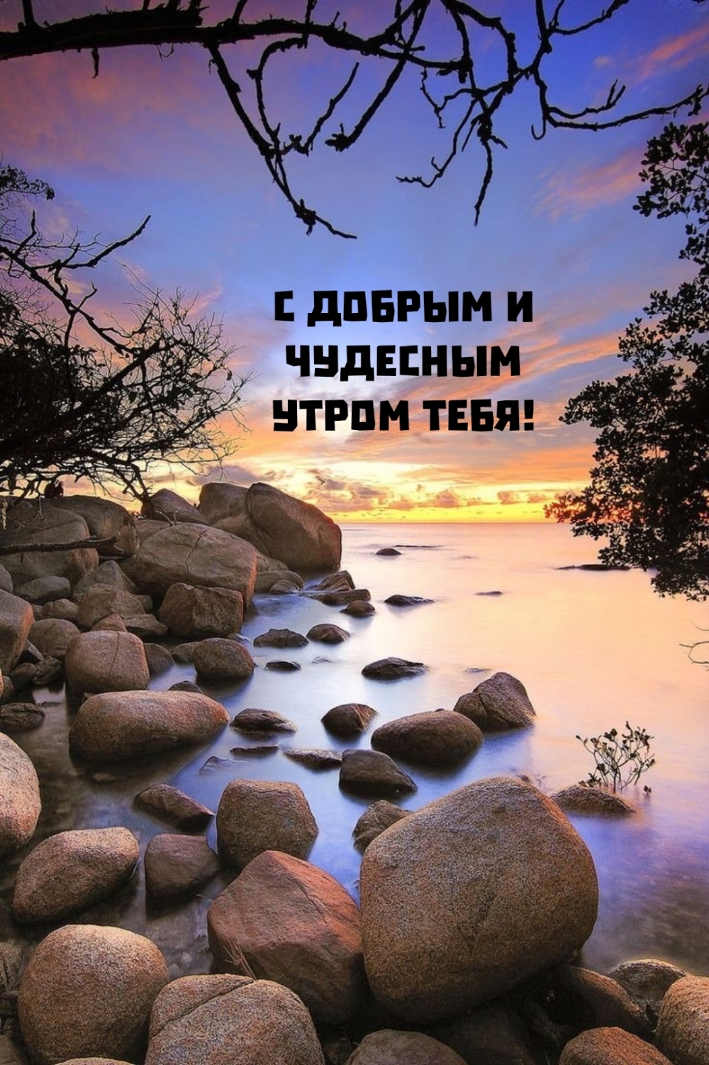 С добрым и чудесным утром тебя!