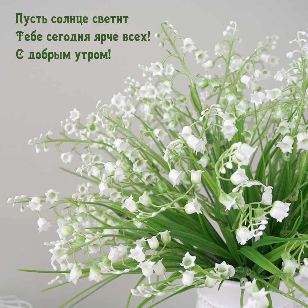 Пусть солнце светит Тебе сегодня ярче всех! С добрым утром!