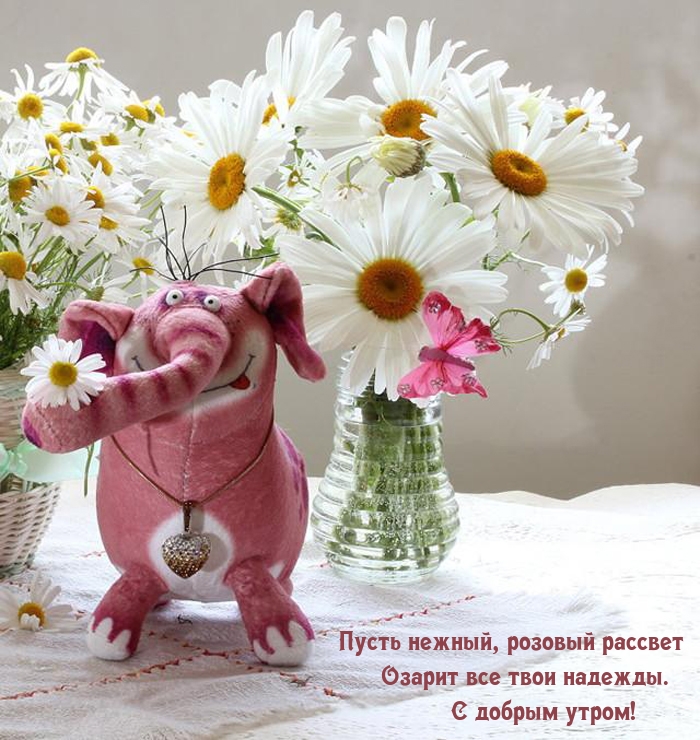 Пусть нежный, розовый рассвет озарит все твои надежды. С добрым утром!