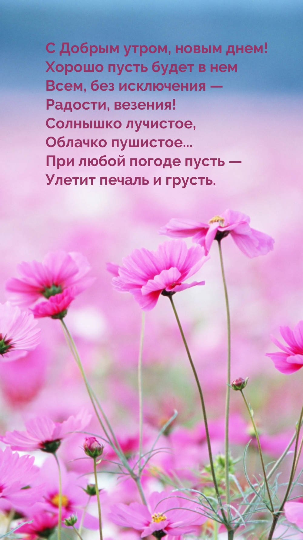 С Добрым утром, новым днем! Хорошо пусть будет в нем