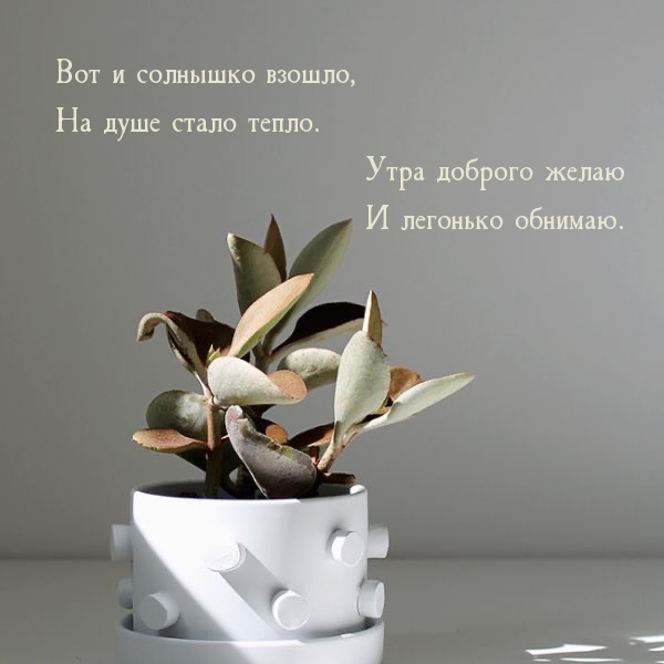 Вот и солнышко взошло, на душе стало тепло.