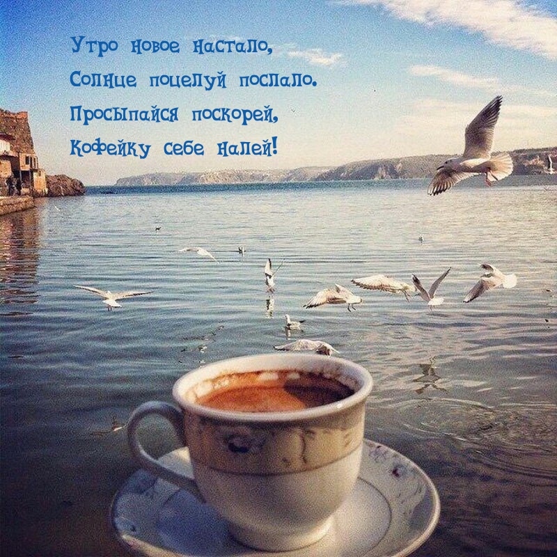 Утро новое настало, солнце поцелуй послало.