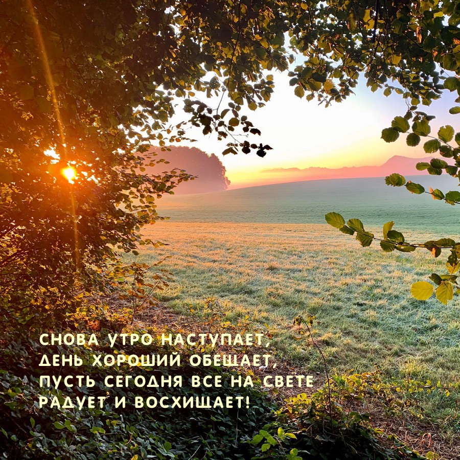 Пусть сегодня все на свете радует и восхищает!