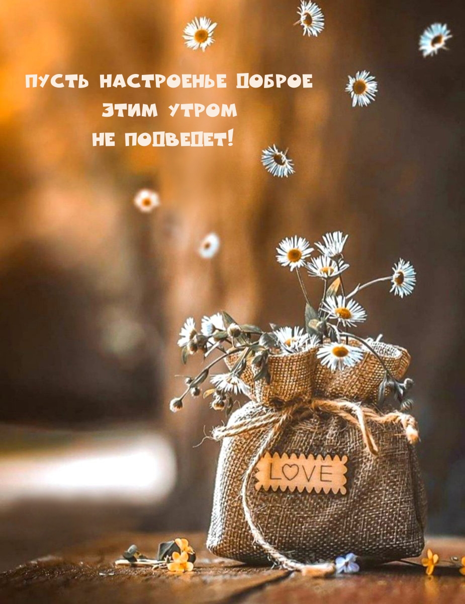 Пусть настроенье доброе этим утром не подведет!