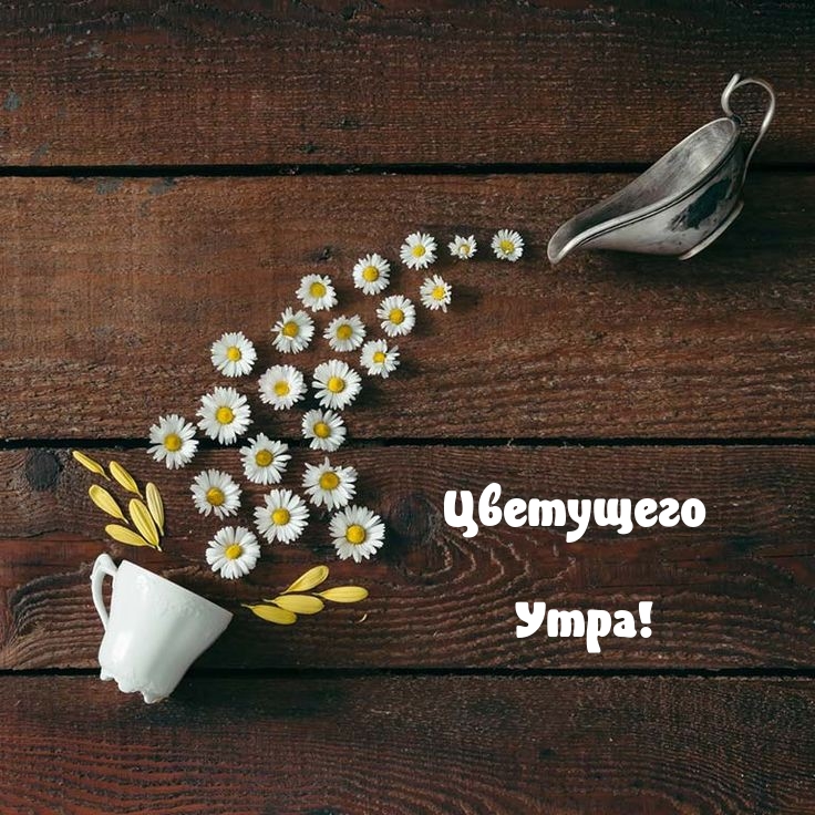 Цветущего Утра!
