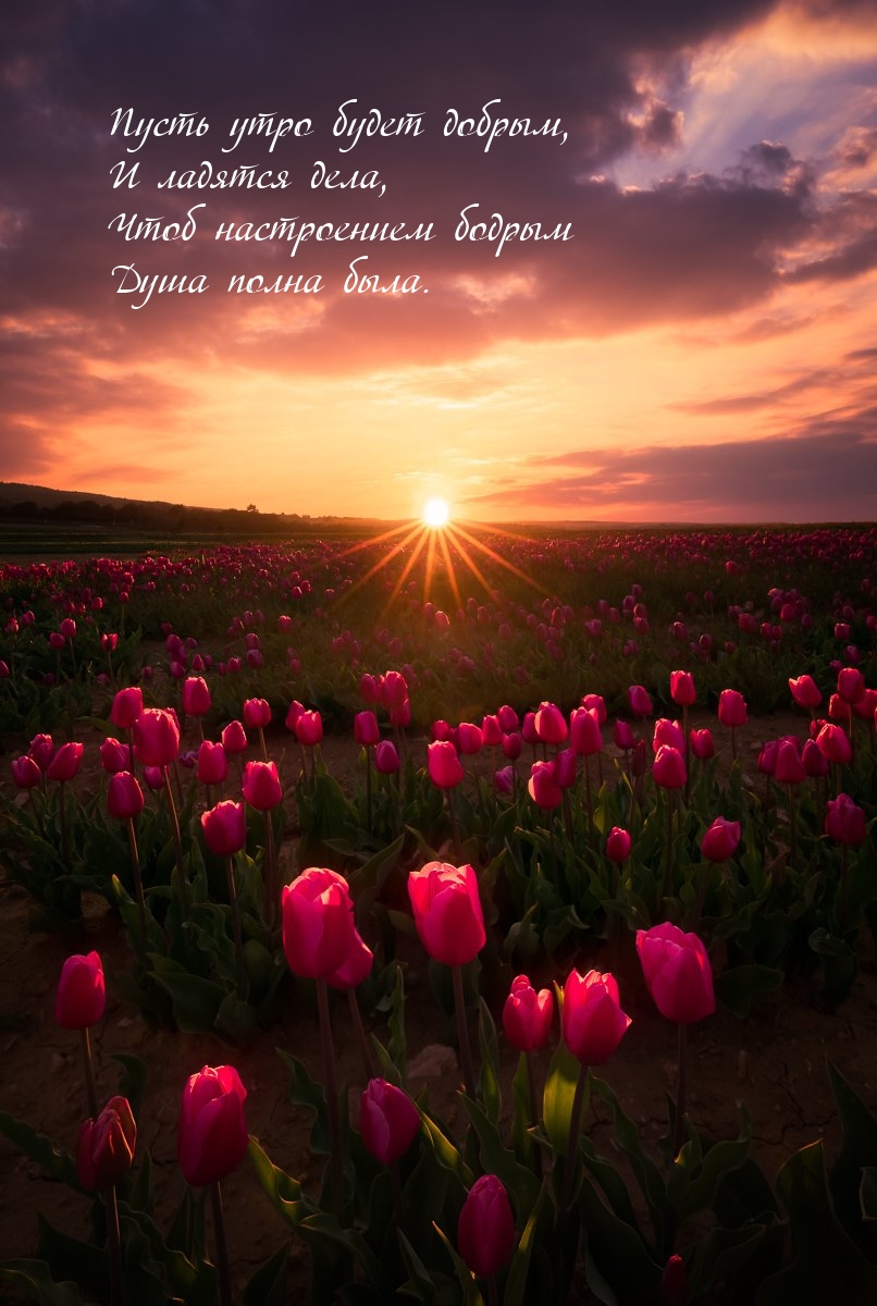 Пусть утро будет добрым, и ладятся дела