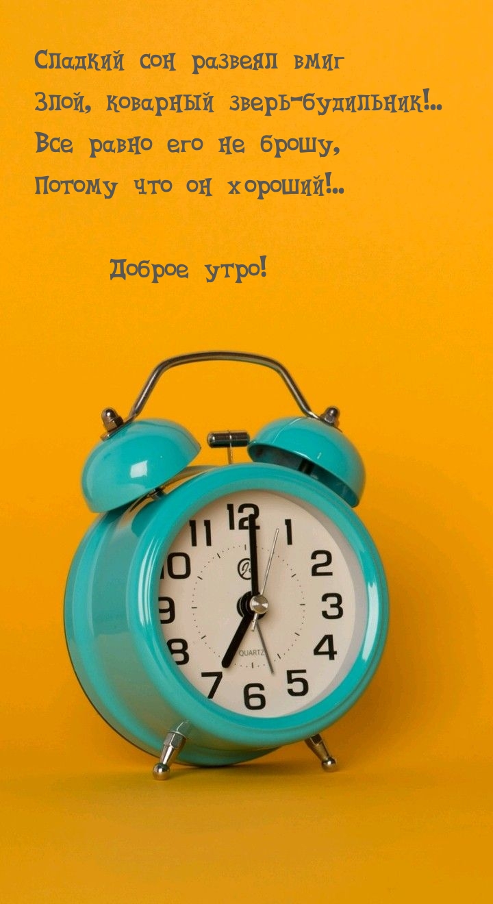 Сладкий сон развеял вмиг злой, коварный зверь-будильник!