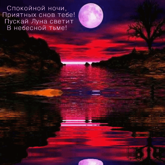 Спокойной ночи, приятных снов тебе!