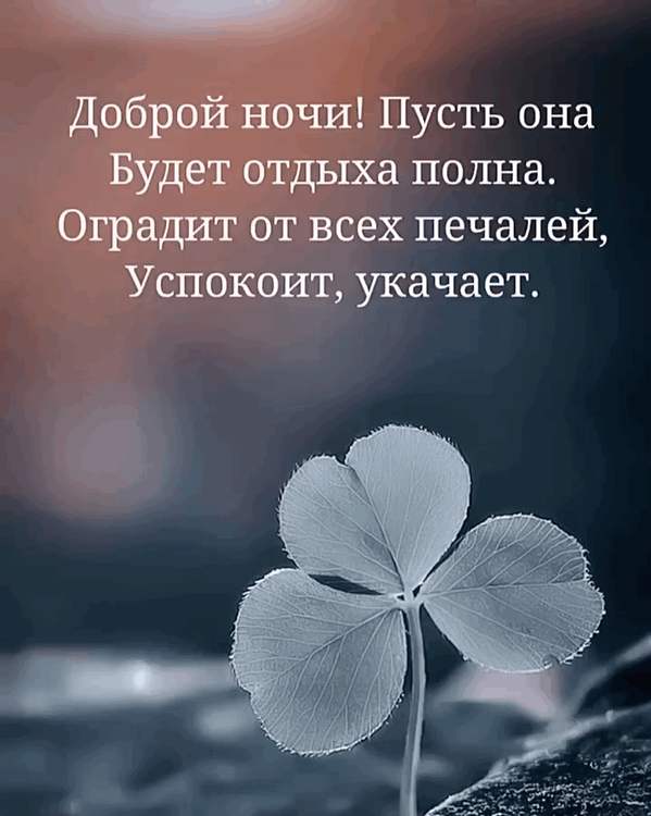 Доброй ночи! Пусть она будет отдыха полна.