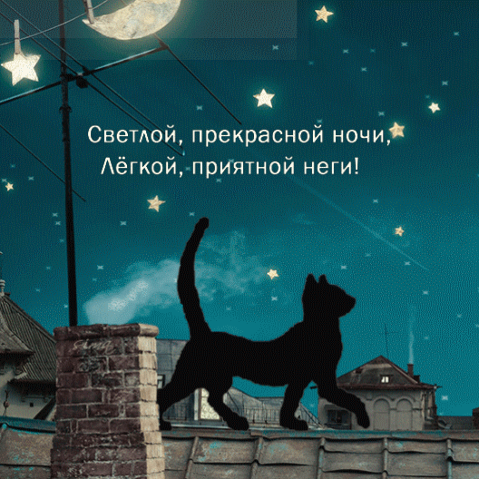 Светлой, прекрасной ночи, лёгкой, приятной неги!