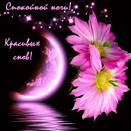 Спокойной ночи! Красивых снов!