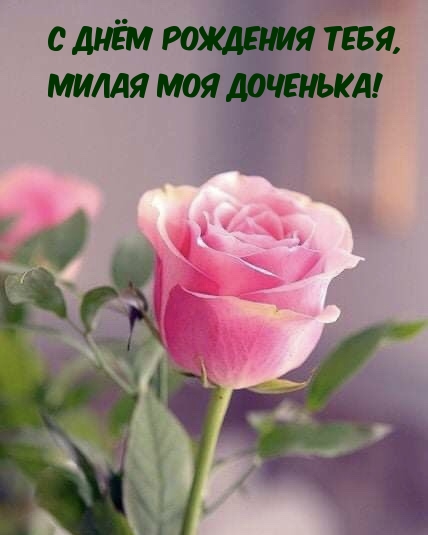 С днём рождения тебя, милая моя доченька!