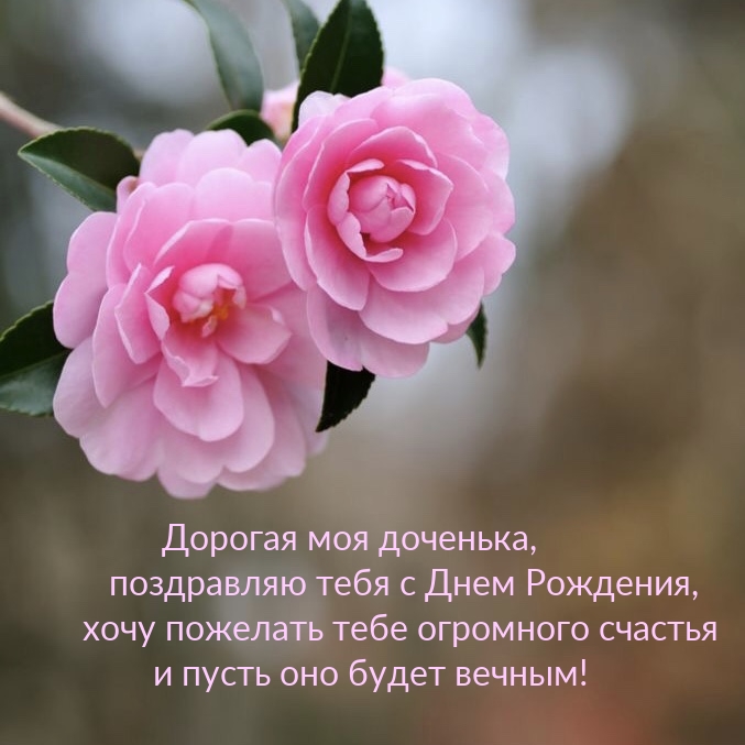 Дорогая моя доченька, поздравляю тебя с Днем Рождения