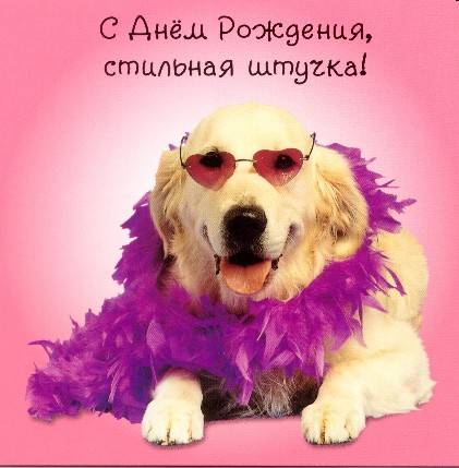 С Днем Рождения стильная штучка!