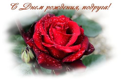С Днем Рождения, подруга!