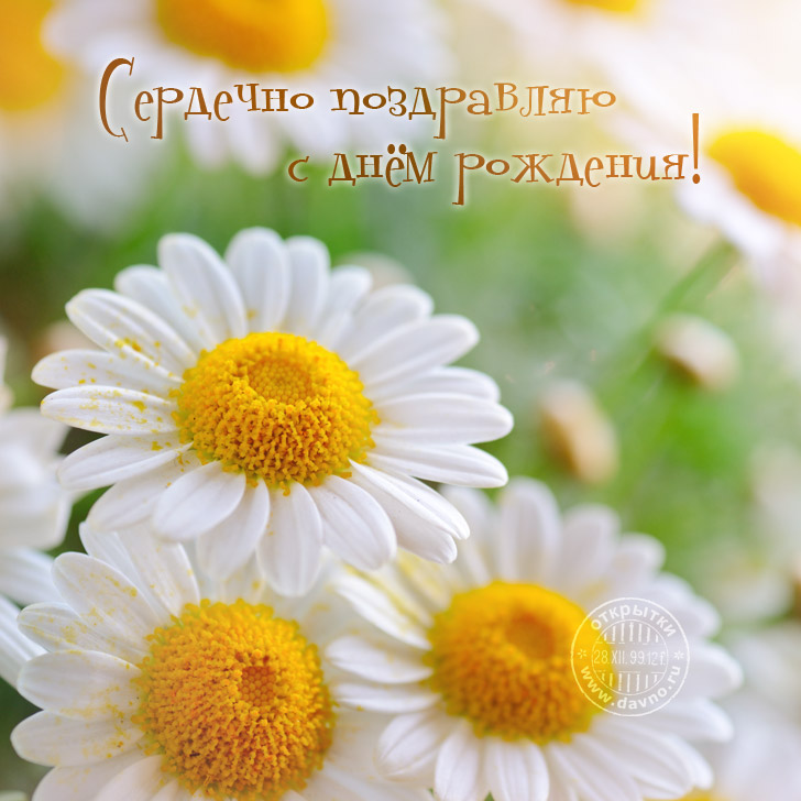 Сердечно поздравляю с Днем Рождения!