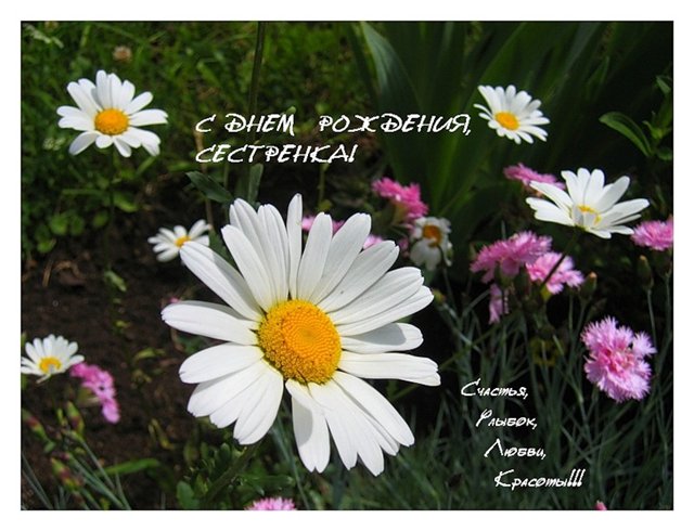 С днем рождения сестренка!