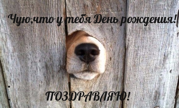 Чую,что у тебя День рождения!