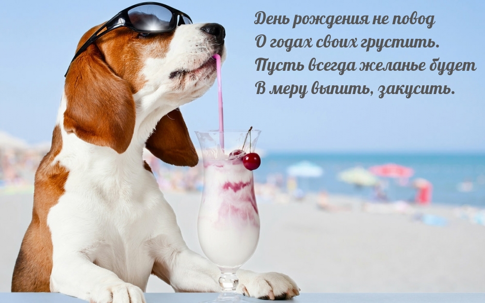 Прикольный стих на день рождения