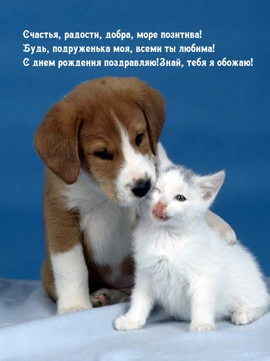 Будь, подруженька моя, всеми ты любима!
