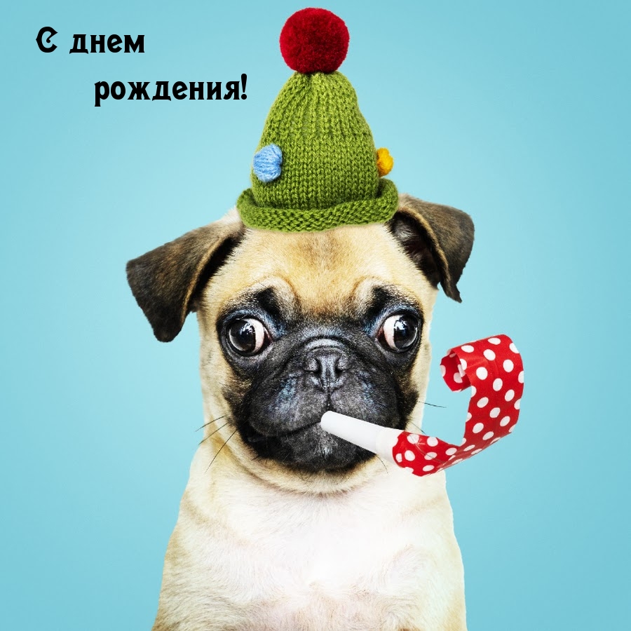 С днем рождения!