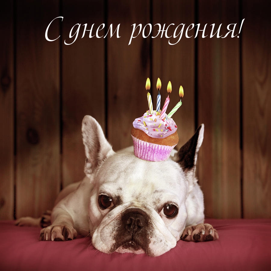 С днем рождения!