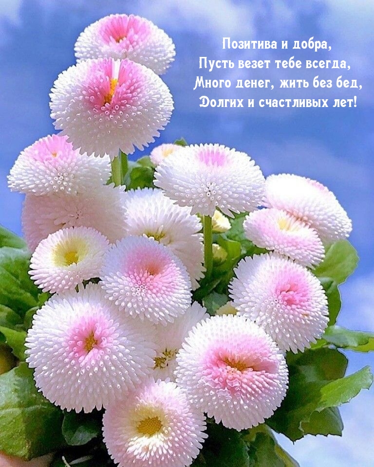 Позитива и добра! Долгих и счастливых лет!