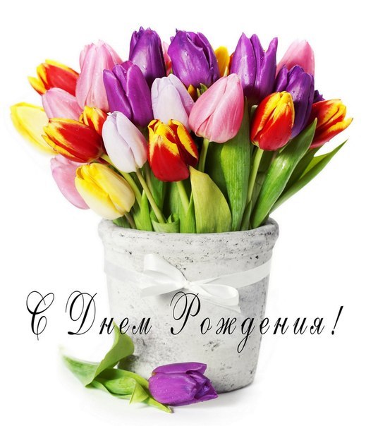 С Днем Рождения! С тюльпанами