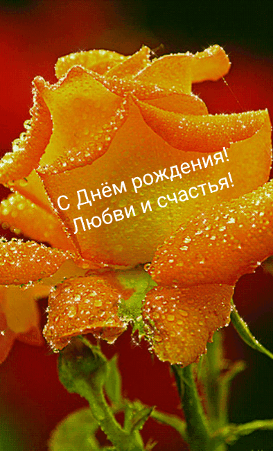 С Днём рождения! Любви и счастья!