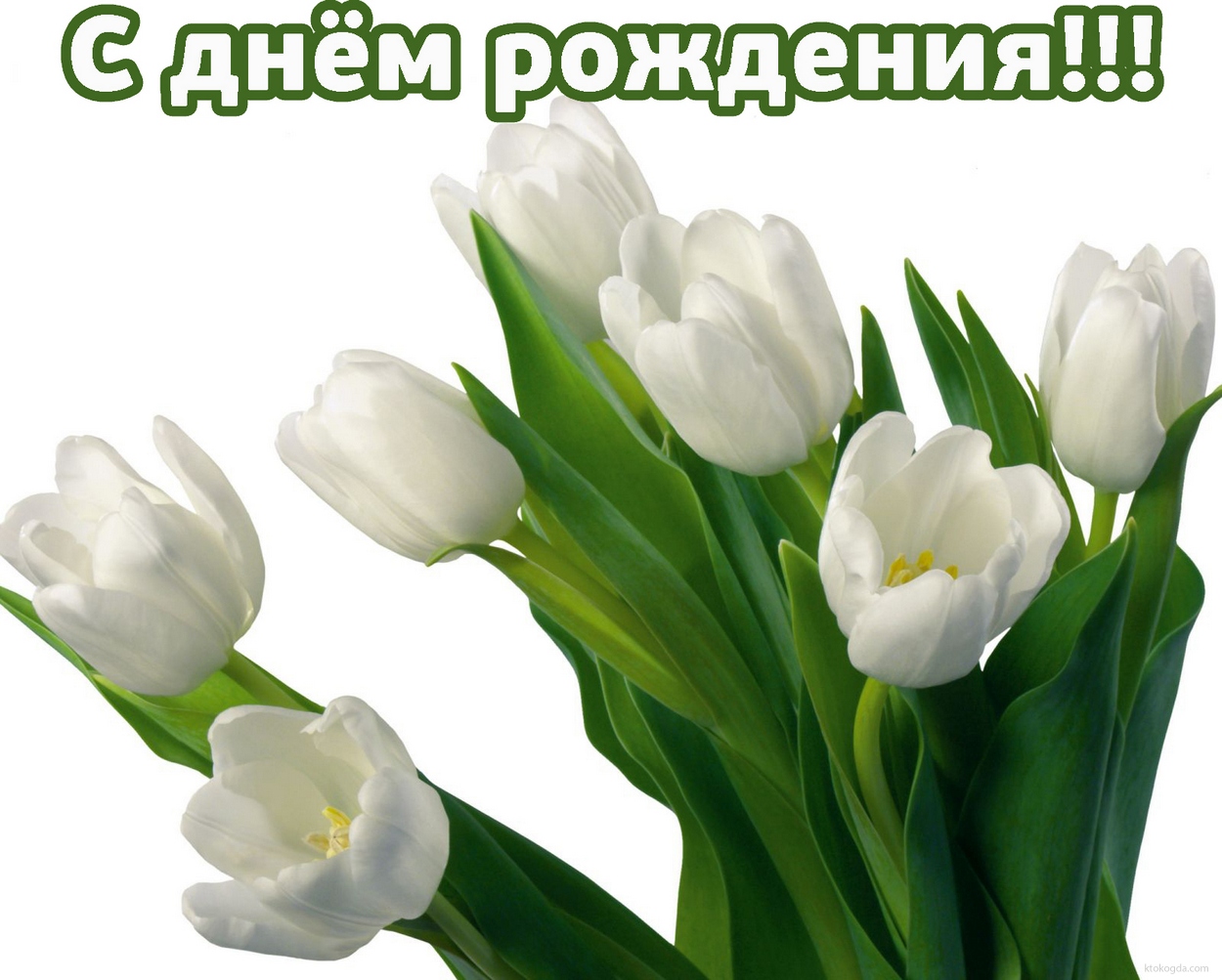 С днем рождения!!! на фоне белых цветов
