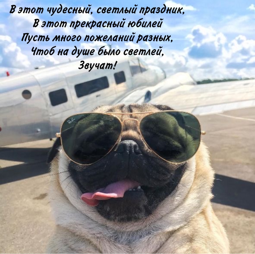 В этот прекрасный юбилей пусть много пожеланий разных
