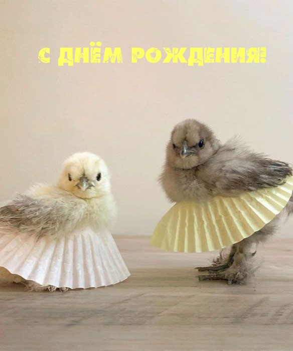 С днём рождения!